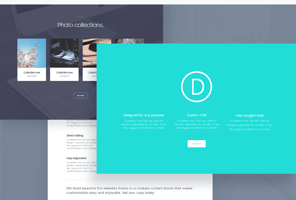 Ofertas Elegant Themes y Divi