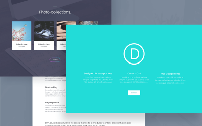 Ofertas Elegant Themes y Divi